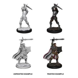 D&D Nolzur's Marvelous Unpainted Miniatures (W12) Male Human Paladin