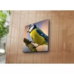 4545NAT-18 Multicolor Decorative Canvas Painting