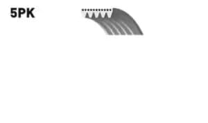GATES V-ribbed belt 5PK1343 Serpentine belt,Auxiliary belt HYUNDAI,VOLVO,MITSUBISHI,GALLOPER II (JK-01),V40 Kombi (645),S40 I (644),Space Star (DG_A)