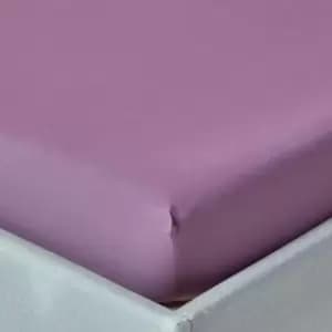 Grape Egyptian Cotton Deep Fitted Sheet 200 Thread Count, King - Grape - Grape - Homescapes