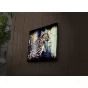 2828?ACT-50 Multicolor Decorative LED Lighted Canvas Painting
