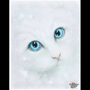 Small Winter Cat Canvas Picture by Linda Jones
