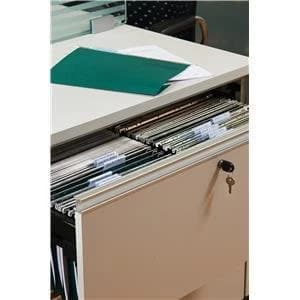 Elba Verticfile Foolscap Ultimate Suspension File Manilla 240gsm Green Pack 50