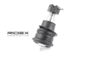 RIDEX Ball joint NISSAN 2462S0062 401604M400,401604M410,401604M411 401604M700,401604Z011,4016050A00,4016050J25,4016060Y60,4016069C00,401606M000