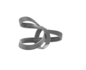 Bosch V-ribbed belt 1 987 947 847 Serpentine belt,Auxiliary belt FORD,RENAULT,FIAT,Focus II Schragheck (DA_, HCP, DP),KUGA I,CLIO I (B/C57_, 5/357_)