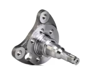 MEYLE Stub Axle 100 501 0012 Kingpin, axle beam VW,SEAT,GOLF III (1H1),GOLF II (19E, 1G1),PASSAT Variant (3A5, 35I),Golf III Cabrio (1E7)