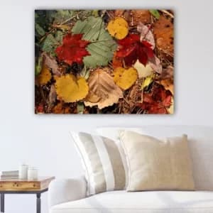36954355_70100 Multicolor Decorative Canvas Painting