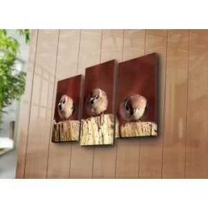 3NATPAT-3 Multicolor Decorative Canvas Painting (3 Pieces)