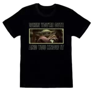 Star Wars: The Mandalorian Unisex Adult Cute And Knows It T-Shirt (M) (Black)