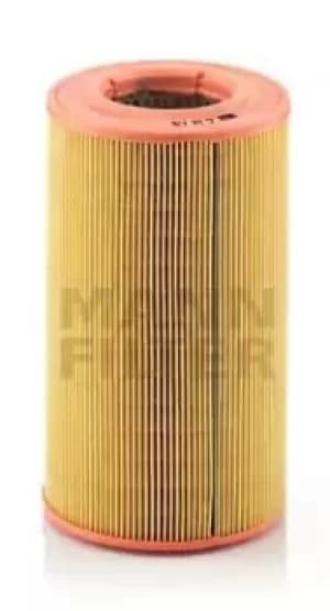 Air Filter C14176 By Mann-Filter