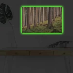 4570DHDACT-010 Multicolor Decorative LED Lighted Canvas Painting