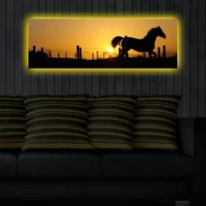 3090DACT-29 Multicolor Decorative LED Lighted Canvas Painting