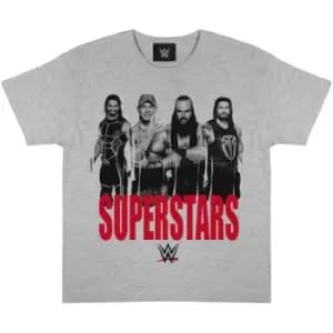 WWE Girls Superstars T-Shirt (12-13 Years) (Heather Grey/Black/Red)