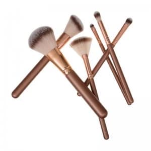Body Collection Bag & Brush Set