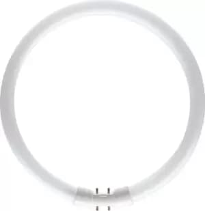 Philips 22w T5 Circular Tube Cool White - 64221925