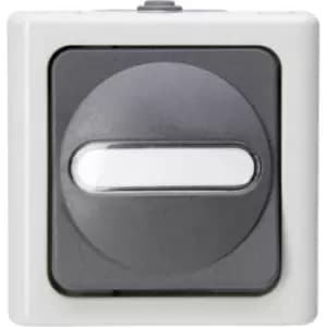 Kopp 560856002 1 Piece Wet room switch product range Complete Switch BlueElectric Grey