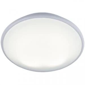 2D Bulkhead with Opal Diffuser and White Base, 38W