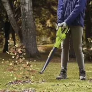 20v Leaf Blower