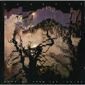 Bauhaus - Burning From The Inside CD