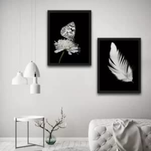 Be Free Set Multicolor Decorative Framed Painting (2 Pieces)