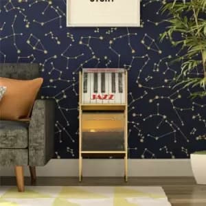 Helix Vinyl Record Collection Storage Gold By Novogratz