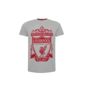 Liverpool FC Crest T Shirt Mens Grey L