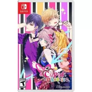Cupid Paradise Nintendo Switch Game