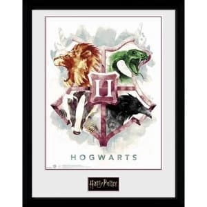 Harry Potter Hogwarts Water Colour Framed Collector Print