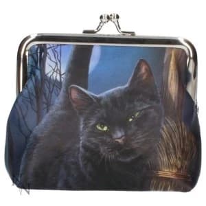 A Brush with Magick Coin Purse