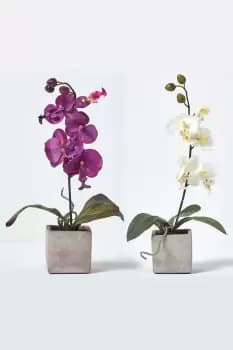 Set of 2 Cerise Pink & White Artificial Orchids in Pots, 40 cm