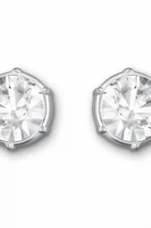 Ladies Swarovski Jewellery Typical Earrings 1179717