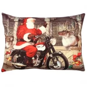 A50914 Multicolor Cushion