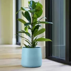 Ivyline Akemi Planter Nordic Blue - H20Cm D22Cm