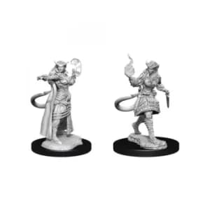 D&D Nolzur's Marvelous Unpainted Miniatures (W15) Tiefling Sorcerer Female