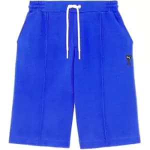 Puma Shorts Mens - Blue