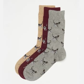 Barbour Mens Pointer Dog Socks Gift Box - Winter Red