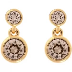 Ladies Karen Millen Gold Plated Crystal Dot Earring