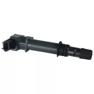 Delphi GN10456-12B1 Ignition Coil 12 V