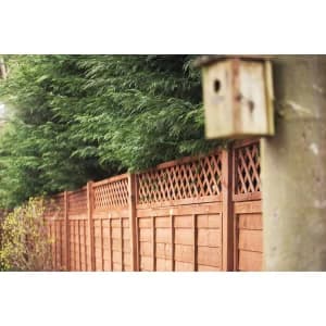 Forest Garden Fence Top Trellis Diamond Lattice - 1830 x 300mm