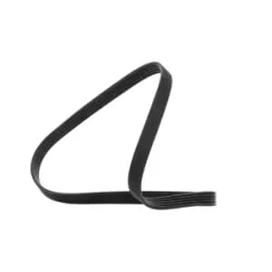 Bosch V-ribbed belt 1 987 947 916 Serpentine belt,Auxiliary belt VW,RENAULT,FIAT,Golf VI Variant (AJ5),Golf V Variant (1K5),Jetta Mk5 (1K)