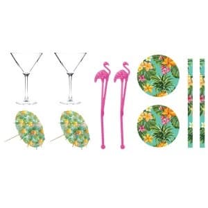 The Vintage Company Martini Cocktail Glasses - Set of 2