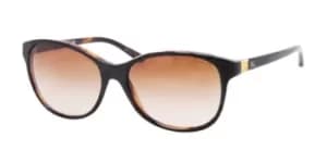 Ralph Lauren Sunglasses RL8116 526013