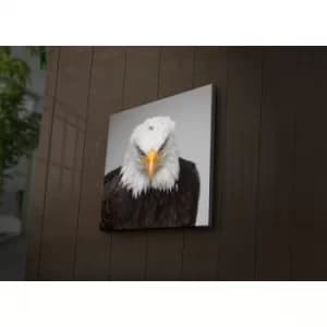 4040?ACT-41 Multicolor Decorative LED Lighted Canvas Painting