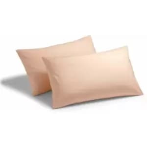 Charlotte Thomas - Poetry Plain Dye 144 Thread Count Combed Yarns Peach Housewife Pillowcase Pair