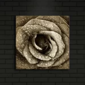 4040?ACT-25 Multicolor Decorative LED Lighted Canvas Painting