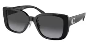 Coach Sunglasses HC8352 50028G