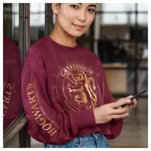 Harry Potter - Gryffindor Constellation (SuperHeroes Inc. Acid Wash Cropped Sweatshirt) Ex Large