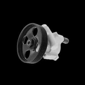 ENERGY Power Steering Pump BMW PW680246 10SKV170,32416750423,32416760034 Steering Pump,EHPS,EHPS Pump,Hydraulic Pump, steering system 32416760036