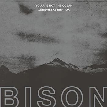 Bison - You Are Not the Ocean You Are the Patient Vinyl