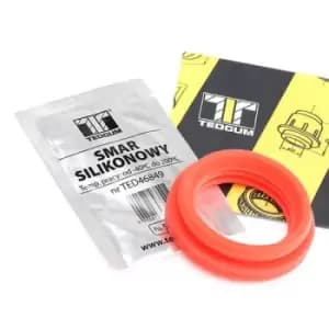 TEDGUM Repair Kit, brake booster VW,AUDI,MERCEDES-BENZ 00748698 03771850181,A1634300130,4461005060 03771850181,30793673